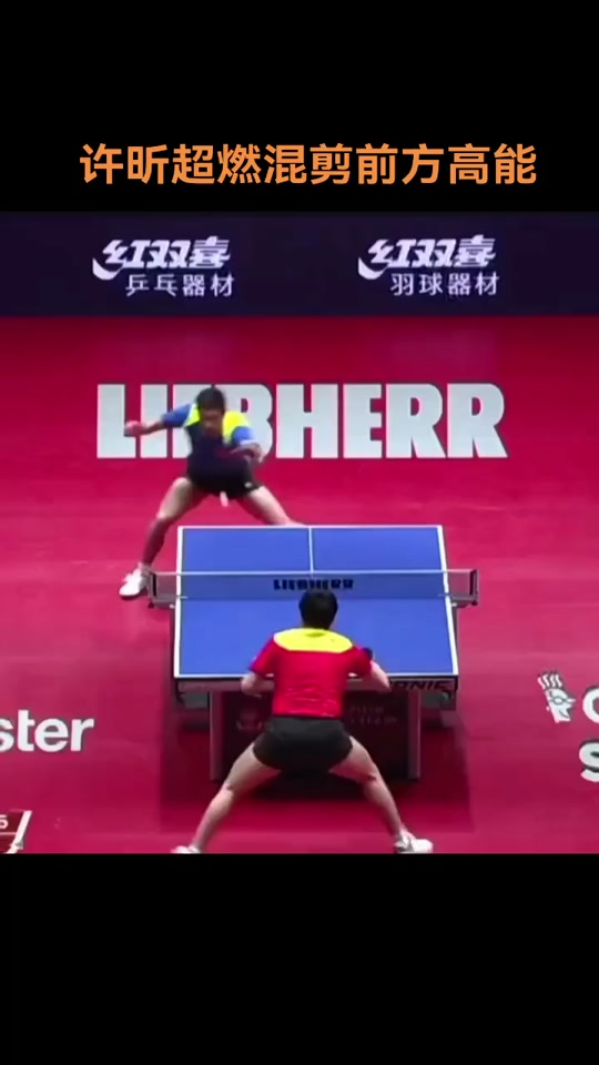 奥地利队碾压韩国队，许昕高光表现